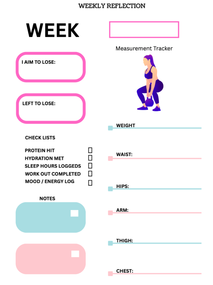 12 Weeks Work out plan to burn fat